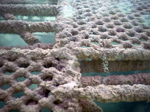 Month 3 Rock Formation